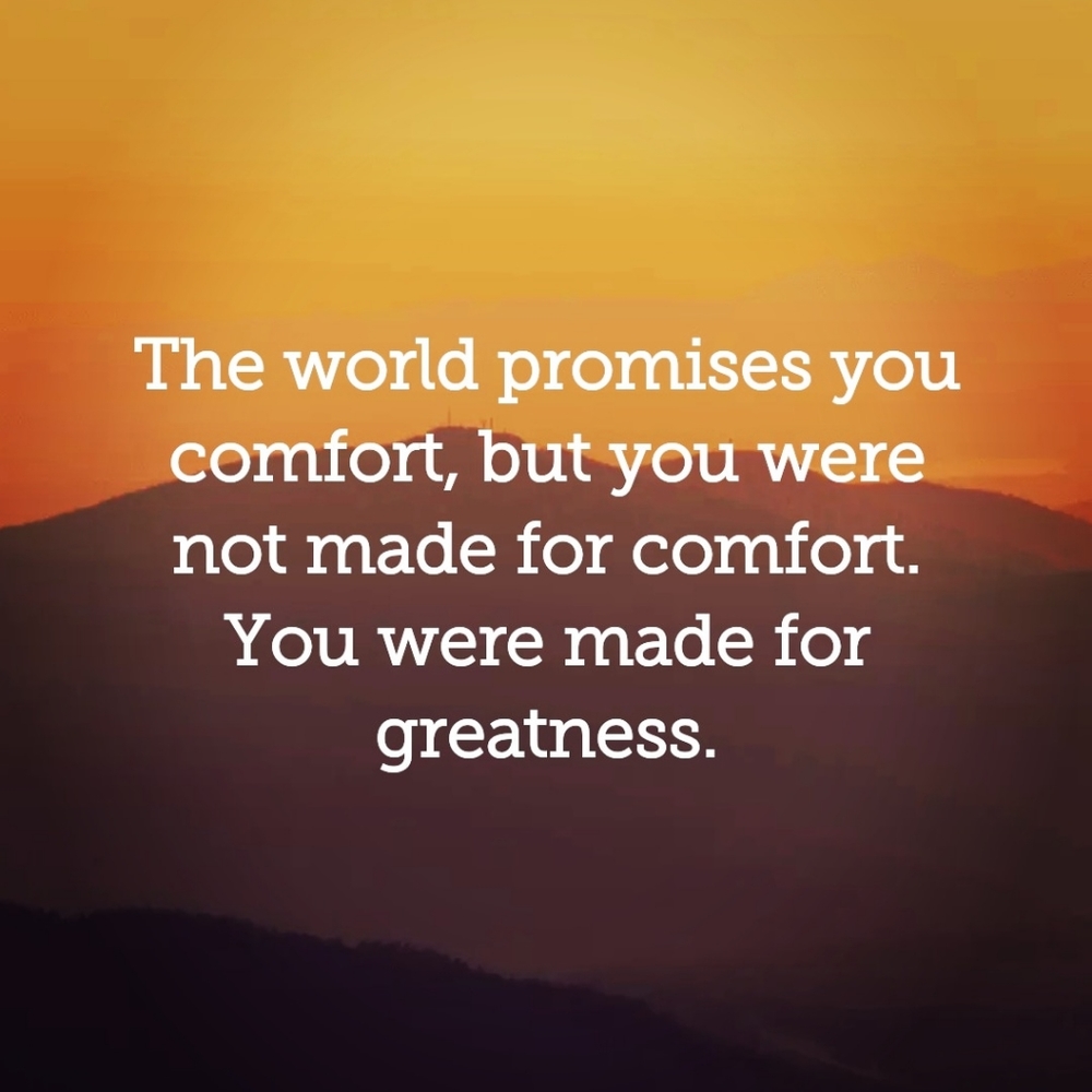 "Correct Gently" - the seller/buyer… - Picture 10 of 16